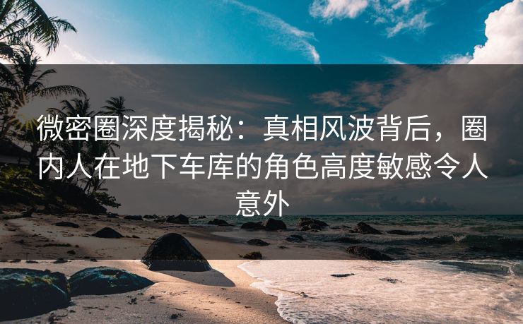 微密圈深度揭秘:真相风波背后,圈内人在地下车库的角色高度敏感令人意外 微密圈深度揭秘:真相风波背后,圈内人在地下车库的角色高度敏感令人意外
