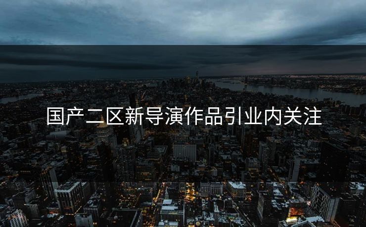 国产二区新导演作品引业内关注 国产二区新导演作品引业内关注